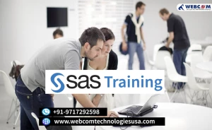 SAS TRAINING INSTITUTE , Gurgaon logo