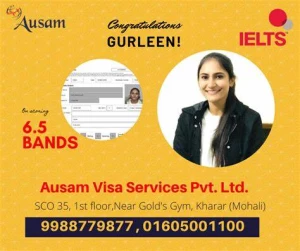 Ausam Visa Services Private Limited, Kharar