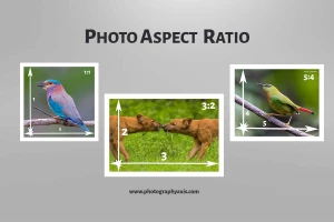 Reliance Jio Infocomm Limited, Delhi logo