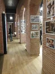 Blush in Style Unisex Salon| Best Salons in Chandigarh | Top Salons in Chandigarh