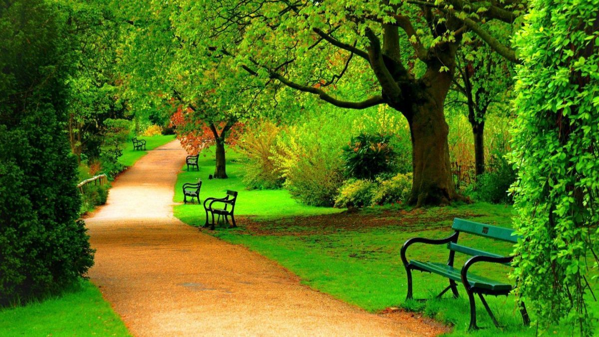 Park