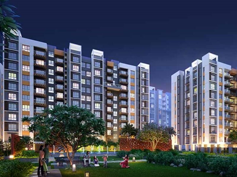 MS Landcorp Hi Greens