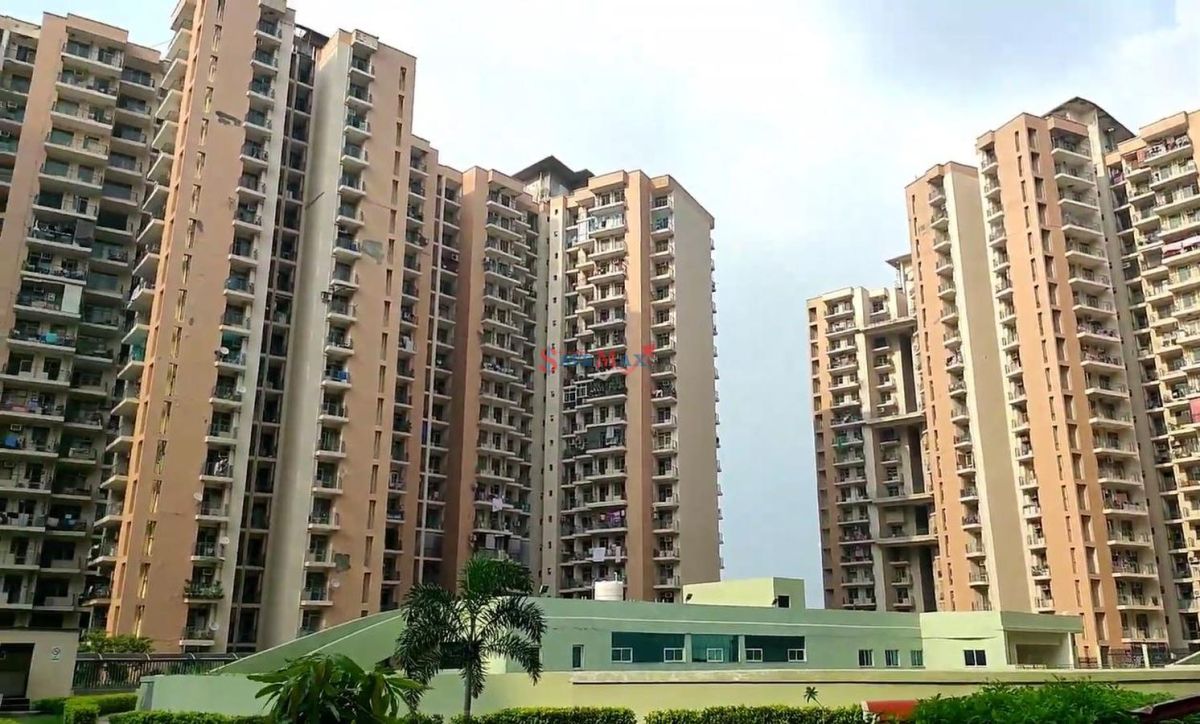 Amrapali Pan Oasis