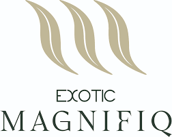 Ready to Move Flats in Panchkula | Exotic group Panchkula | Best flats in Tricity | Home near Chandigarh