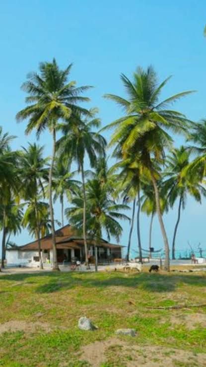 Turtle Nest Resort, Lakshadweep, Luxury Hotel and Best Resort