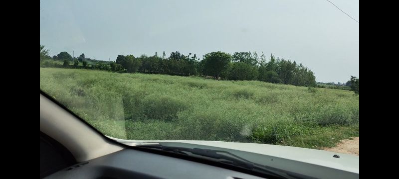 Spacious 7 Acre Agricultural Land for Sale in Kurali, Mohali