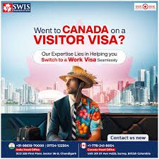 Swis Immigration - Study And PR Visa Consultant | Chandigarh Top Consultant in Chandigarh - Immigration Services in India