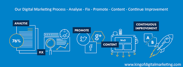 Digital Marketing Executive Specialist in Immigration Field
