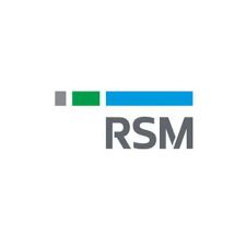 "Financial Accountant at RSM India – Delivering Insightful Solutions"