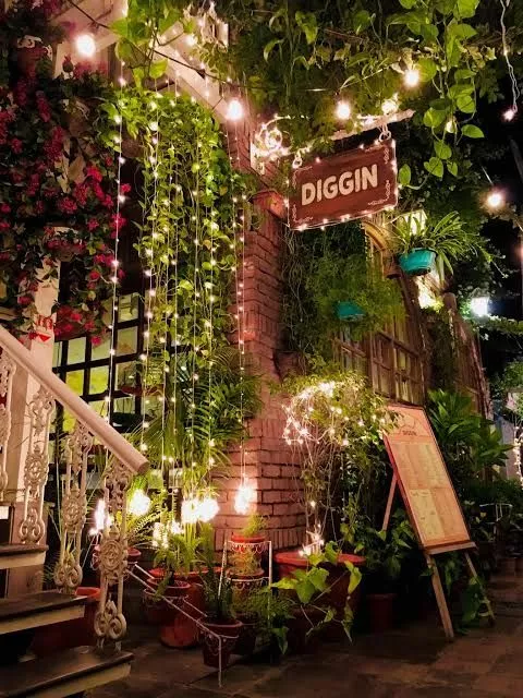 Diggin restaurant, Where Culinary Excellence Meets Cozy Elegance"Anand Lok, Delhi