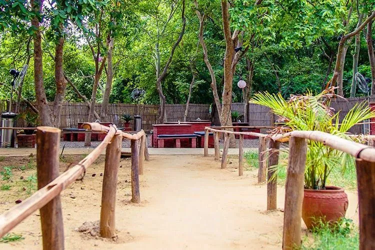 Roots Cafe In The Park