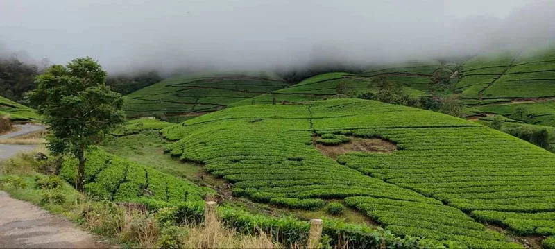 Tamizhan Trails India Private Limited