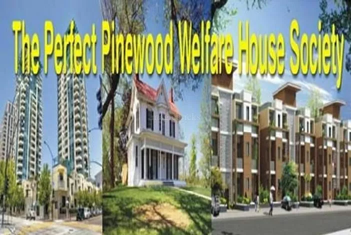 The Perfect Pinewood Welfare House Society