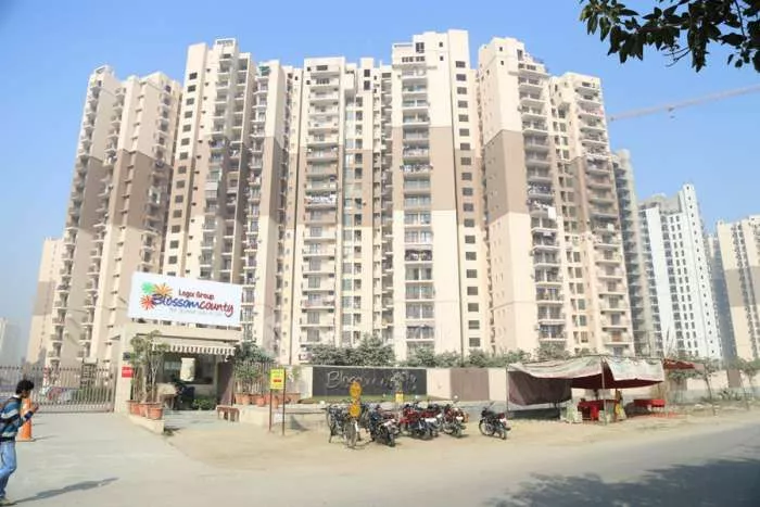 Logix Blossom County