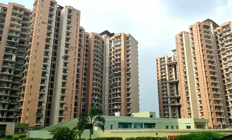 Amrapali Pan Oasis