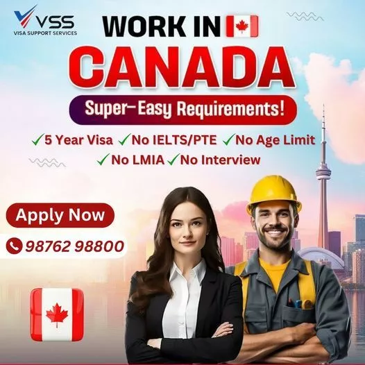 "Your Trusted Partner for Visa Solutions – Visa Support Services Pvt Ltd"