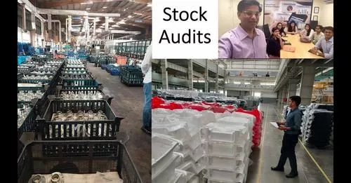 Essential Stock Audit Skills for CA Articles: Boost Efficiency and, Accuracy, with ERP Management"
