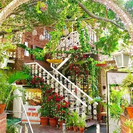 Diggin restaurant, Where Culinary Excellence Meets Cozy Elegance"Anand Lok, Delhi