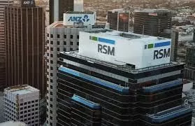 "Financial Accountant at RSM India – Delivering Insightful Solutions"