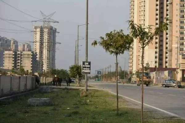 "Prime 100 Sq. Yd. Residential Plot for Sale in Sector 150, Noida