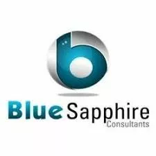 Blue Sapphire Immigration - Study And PR Visa Consultant | Chandigarh Top Consultant in Chandigarh