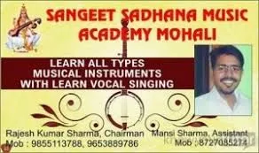 Sangeet Sadhana Music Academy Mohali | Best Music Academy in Chandigarh | Top Music Academy in Chandigarh