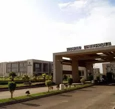 Thapar Institute of Management | Best College in Tricity | Best College in Chandigarh