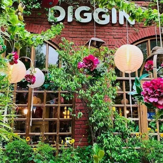 Diggin restaurant, Where Culinary Excellence Meets Cozy Elegance"Anand Lok, Delhi