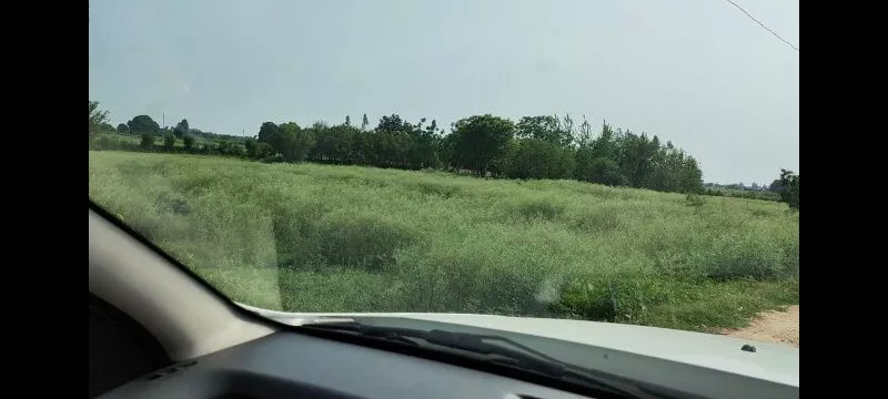 Spacious 7 Acre Agricultural Land for Sale in Kurali, Mohali