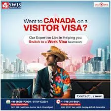 Swis Immigration - Study And PR Visa Consultant | Chandigarh Top Consultant in Chandigarh