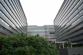 Mindtree Limited: Innovating IT Solutions for a Digital Future"