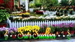 Sur Sudha Music Academy | Best Music Academy in  Chandigarh | Best Academy in Chandigarh |