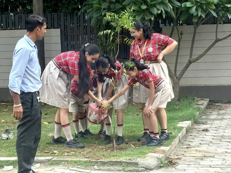 Celebrated the conclusion of Van Mahotsav