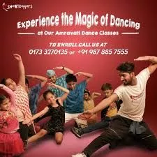 The ShowStoppers Dance Academy | Best Dance Studio in  Chandigarh | Top Dance School in Chandigarh |
