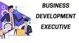 Join Our Team: Business Development Executive at Webpulse Solution Pvt Ltd., Delhi