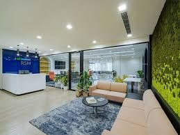 "Financial Accountant at RSM India – Delivering Insightful Solutions"