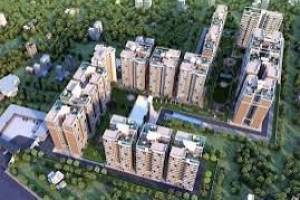 The  Green Lotus group  | Flats In Zirakpur | Best Properties in Tricity - Professional Services in Panchkula