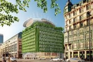 Metamorphosis Architecture  | Best Architects in Chandigarh | Top Architects in Chandigarh - Architects in India