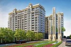 Ready to Move Flats in Panchkula | Exotic group Panchkula | Best flats in Tricity | Home near Chandigarh