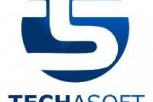 "Techasoft – Innovating IT Solutions for Businesses in India" - IT Consultants in India