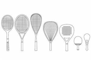 Get the Best Sports Equipment at Prime Sports Chandigarh" - Tennis Racket Dealers in India