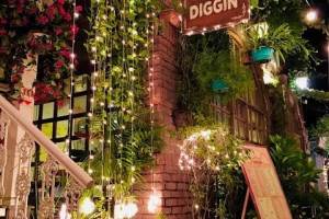 Diggin restaurant, Where Culinary Excellence Meets Cozy Elegance"Anand Lok, Delhi - Restaurant Deals in India