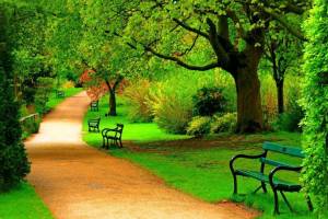 Park - Entertainment Coupons & Offers in India