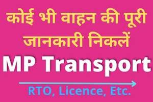 MP transport