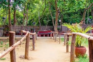 Roots Cafe In The Park - Restaurant Deals in India
