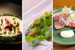 Explore Osaka restaurant - Food & Beverage Deals in Dera bassi
