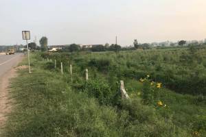 Warehouse Land 70000 sq. ft. available for Long term Lease in New Panchkula