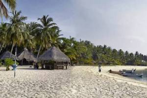 White Pearl Beach Resort , Agatti island Lakshadweep,luxurious home away from home - Travel Agents in India
