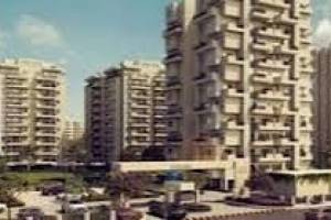 Your Dream Home | Sushma Crescent  Zirakpur | Luxury Flats in Tricity - Professional Services in India