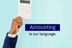 Accurate Accountancy Services: Precision and Expertise in Financial Management" - Accountants in India